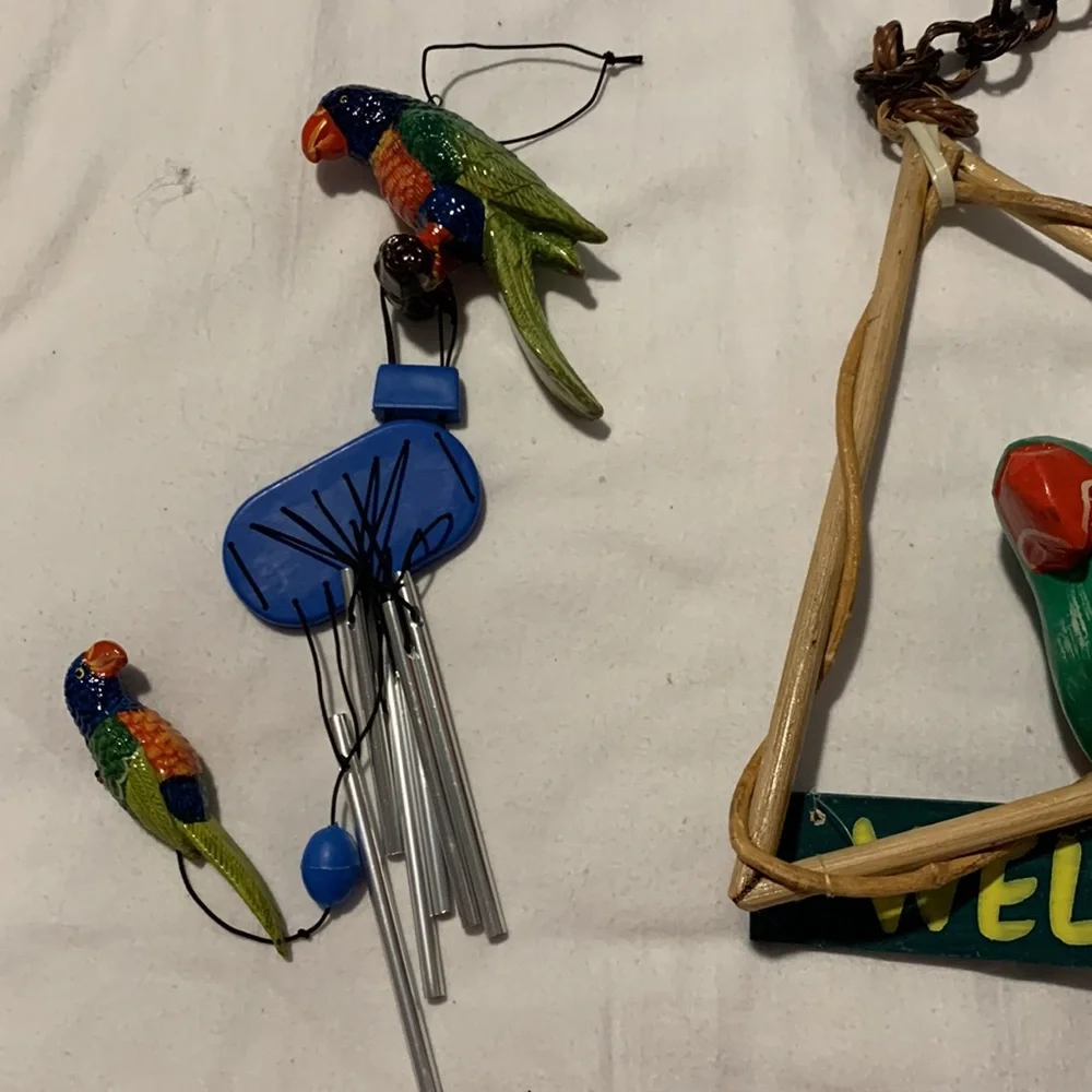 Parrots 🦜 - Picture 9 of 12
